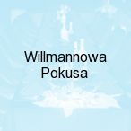 Willmannowa Pokusa, Krzesz�w