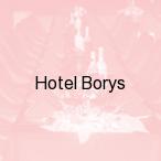 Hotel Borys, Zag�rze �l�skie/wa�brzych