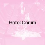 Hotel Corum, Karpacz