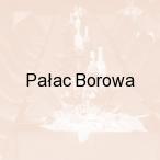 Pa�ac Borowa, Borowa