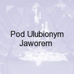 Pod Ulubionym Jaworem, Jawor