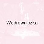 W�drowniczka, Wisznia Ma�a