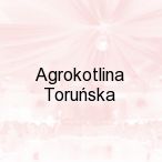 Agrokotlina Toru�ska , Brzoz�wka /k. Torunia