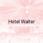 Hotel Walter, Toru�