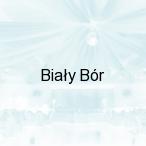 Bia�y B�r, Bia�y B�r 