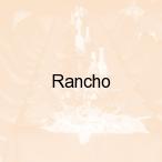 Rancho, Ma�a Niszawka