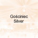 Go�ciniec Silver, Toru�