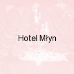 Hotel M�yn, W�oc�awek