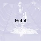 Hotel 1231, Toru�