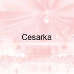 Cesarka, Stryk�w