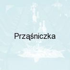 Prz��niczka, ��d�