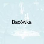 Bac�wka, ��d� - Ksawer�w