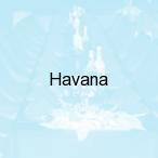 Havana, Lubart�w