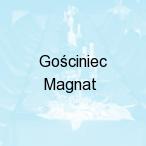 Go�ciniec Magnat, Kalinowice - Zamo��