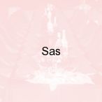 Sas, Lublin