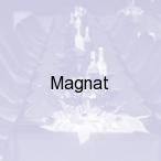 Magnat, Kowal�w