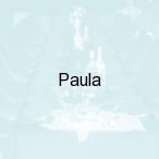 Paula , �wiebodzin