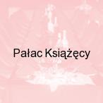 Pa�ac Ksi���cy, �aga�