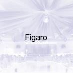 Figaro, Zielona G�ra