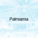Palmiarnia, Zielona G�ra