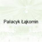 Pa�acyk ��komin, Lubiszyn