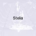 Stelia, Krak�w