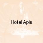 Hotel Apis, Krak�w
