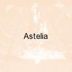 Astelia, Krak�w