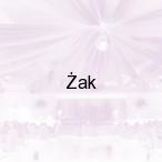 �ak, Nowy S�cz