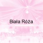 Bia�a R�a, Warszawa