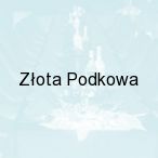 Z�ota Podkowa, P�ock