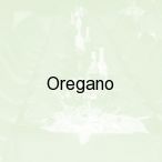 Oregano, Garwolin