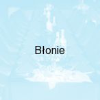B�onie, B�onie