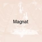Magnat, Magnuszew