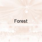 Forest, Soko��w Podlaski