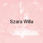 Szara Willa, Opole