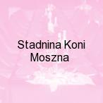 Stadnina Koni Moszna, Zielina
