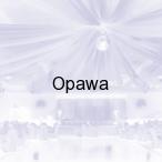 Opawa, G�ucho�azy