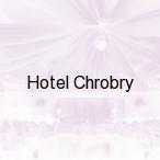 Hotel Chrobry, Pokrzywna