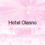 Hotel Olesno, Olesno