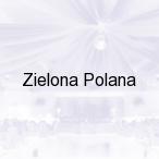 Zielona Polana, Dubiecko