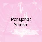 Pensjonat Amelia, Iwonicz Zdr�j