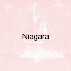 Niagara, Bia�ystok