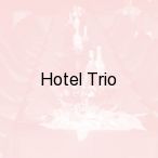 Hotel 3 Trio, Bia�ystok
