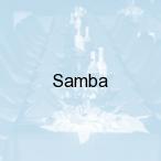 Samba, Zambr�w