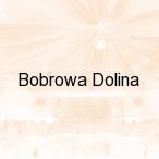 Bobrowa Dolina , Zab�ud�w