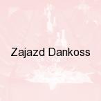 Zajazd Dankoss, Wysokie Mazowieckie