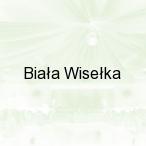 Bia�a Wise�ka, Wis�a - Czarne