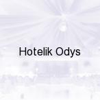 Hotelik Odys, Tresna k/ �ywca