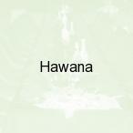 Hawana, Brenna